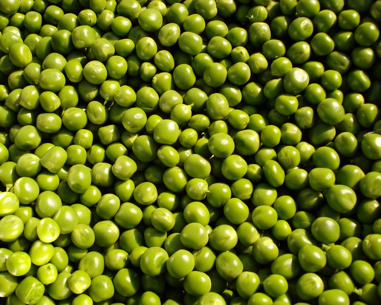 peas-115951_1280.jpg