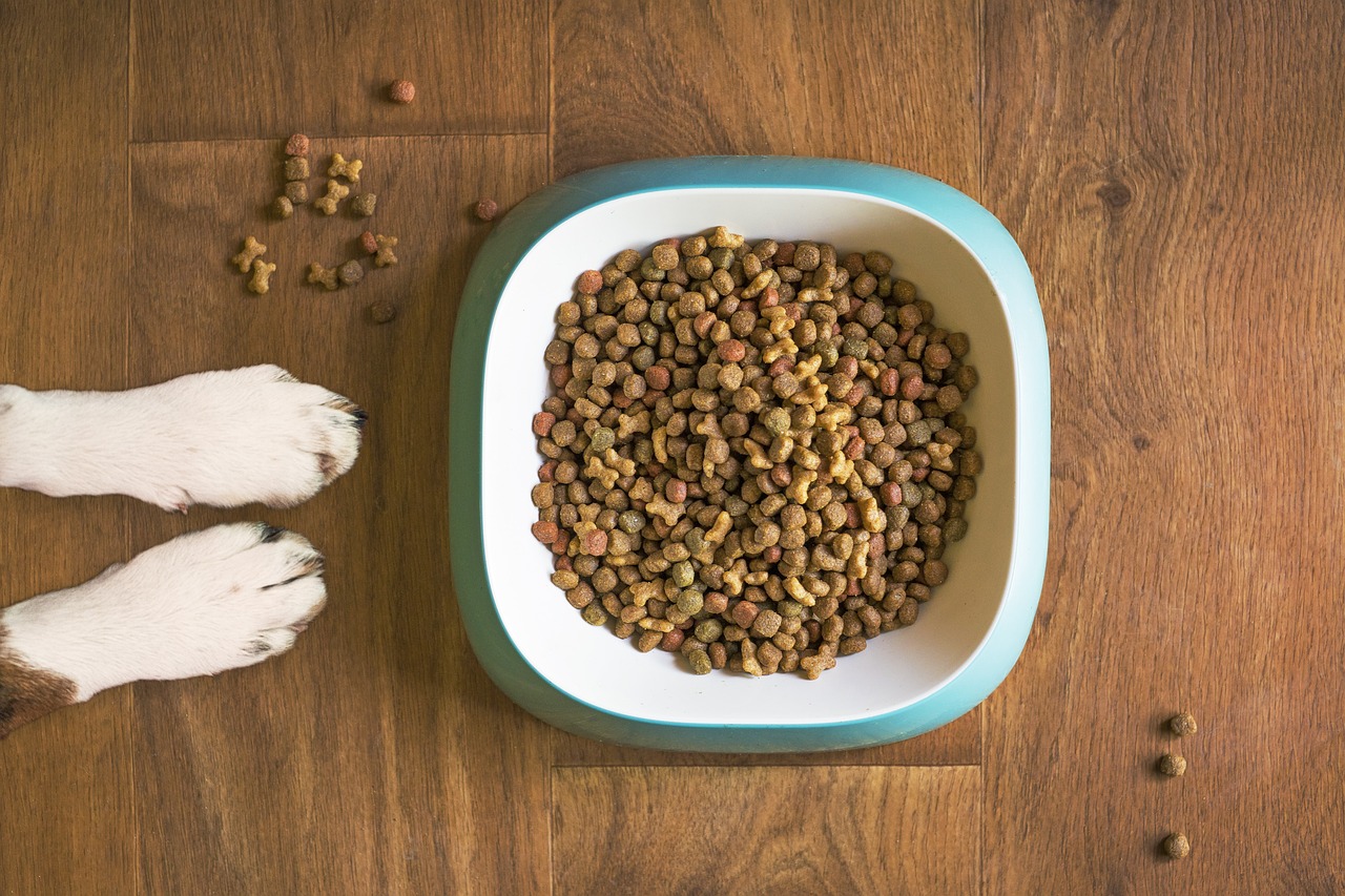 dog-food-5168940_1280.jpg
