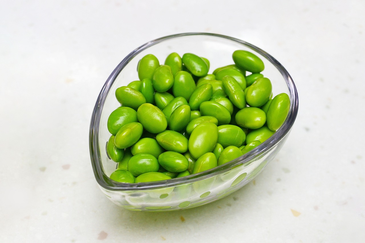 soybean-6577766_1280.jpg