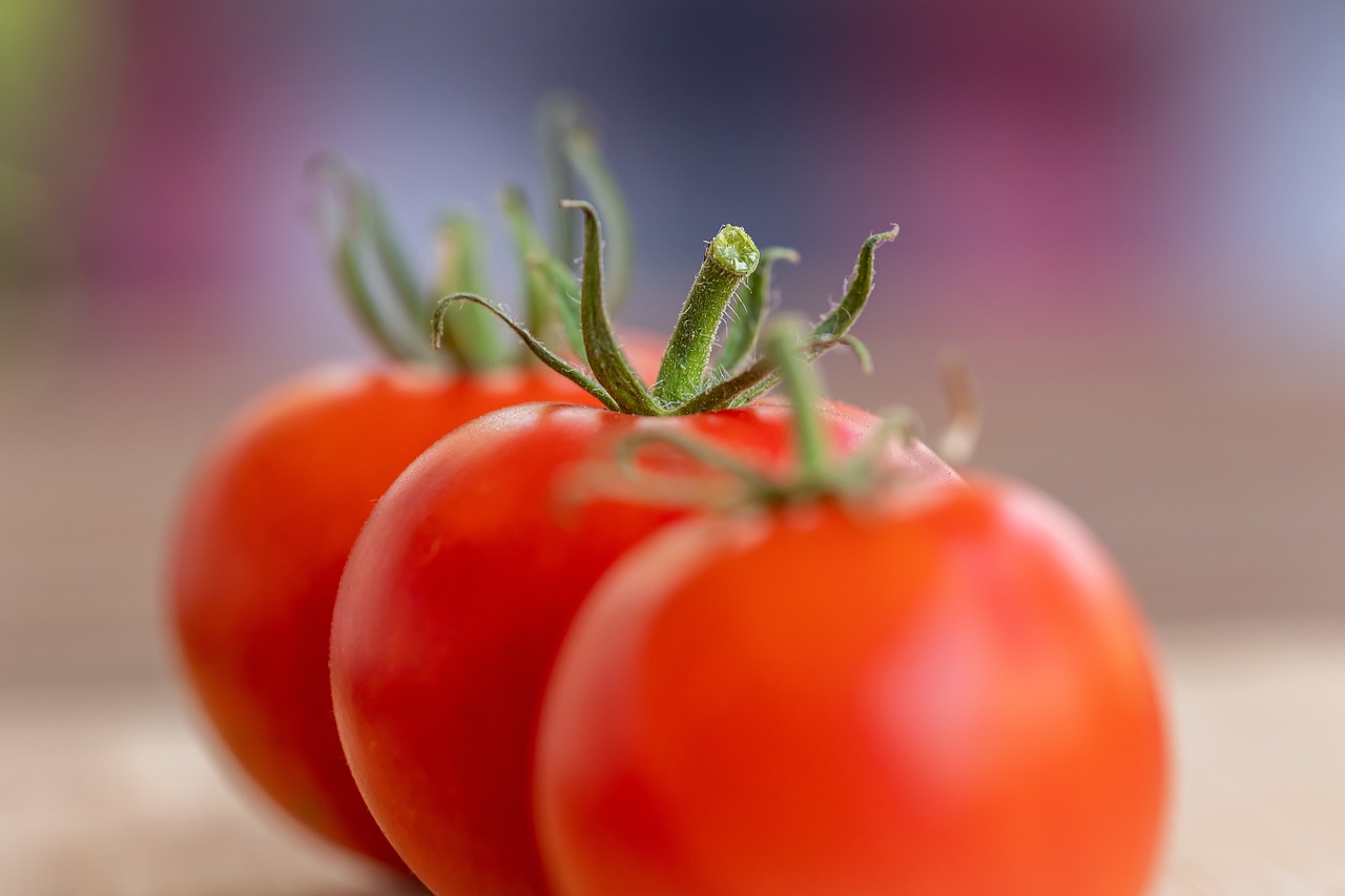 tomatoes-7386111_1280.jpg