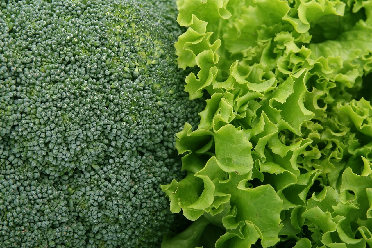 broccoli-1239430_1280.jpg