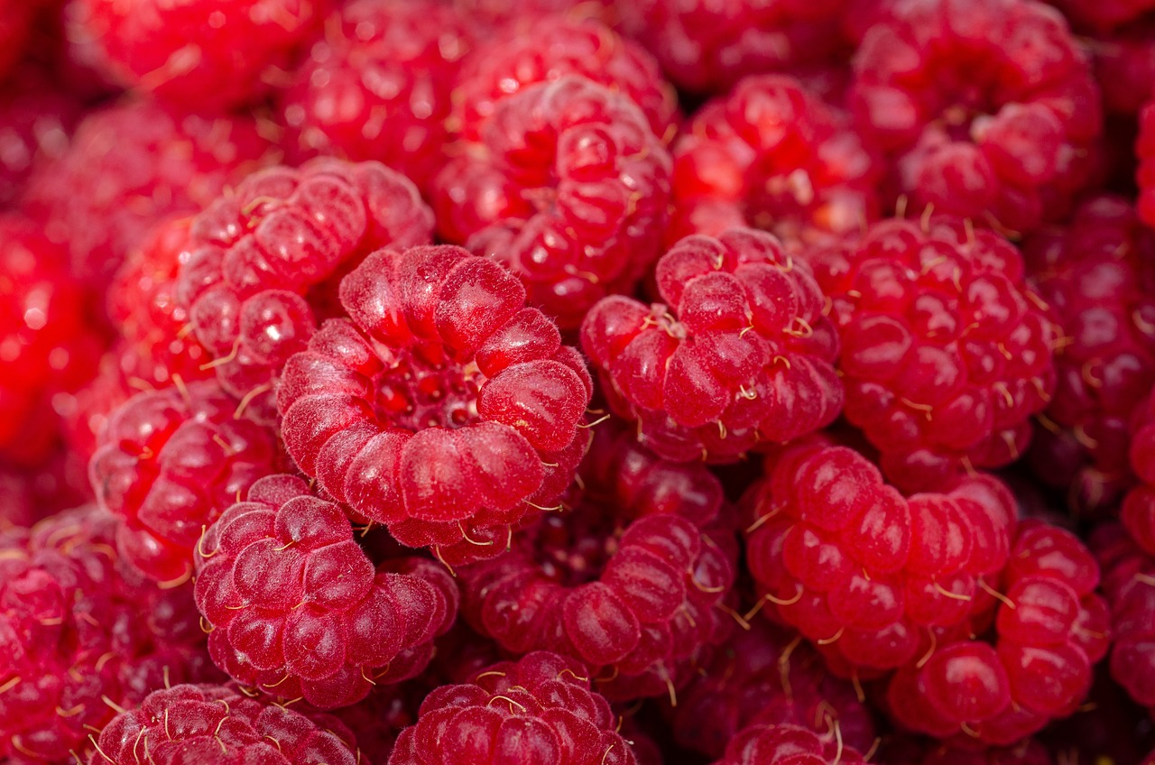 raspberries-7313700_1280.jpg
