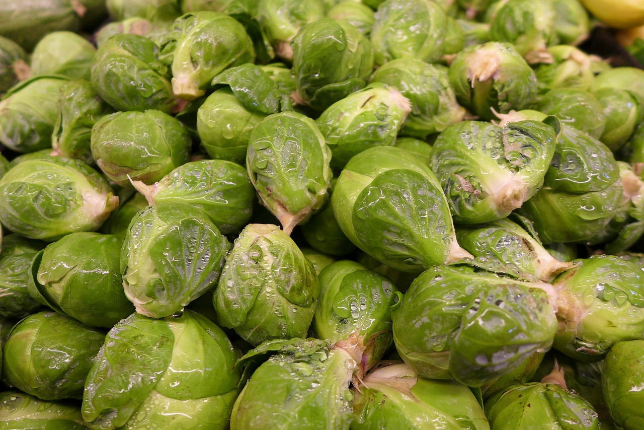 brussel-sprouts-92240_1280.jpg