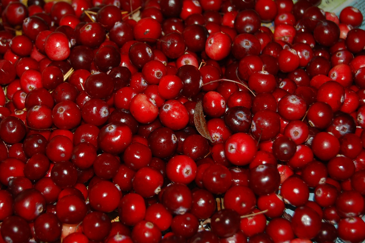 cranberry-957583_1280.jpg