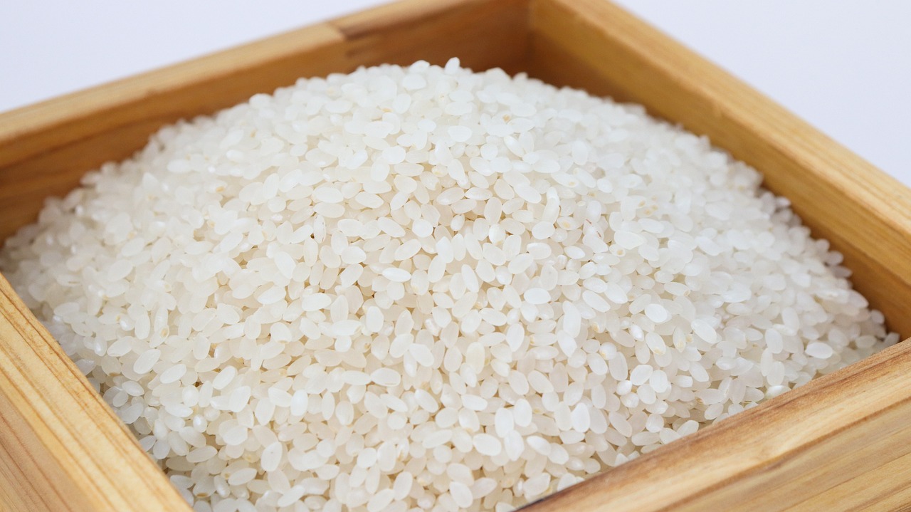 rice-3997767_1280.jpg