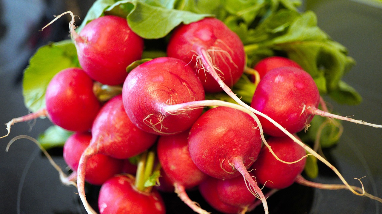 Radishes-6166443 1280