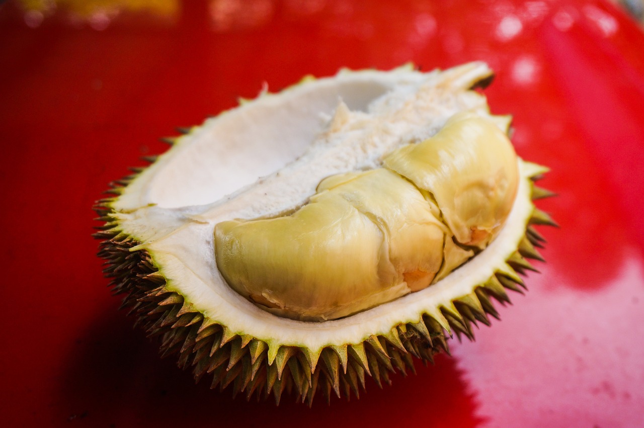 Durian-6579894 1280