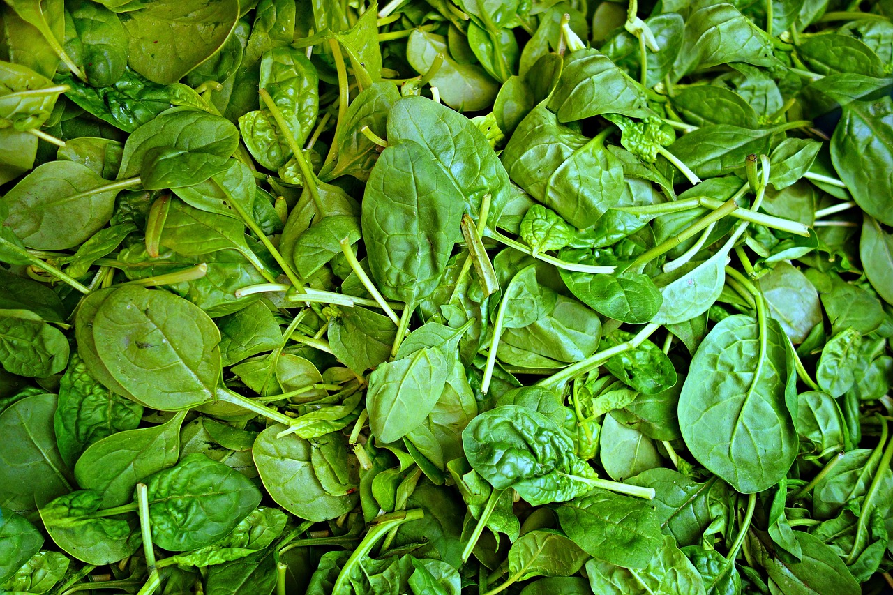 Spinach-1522283 1280