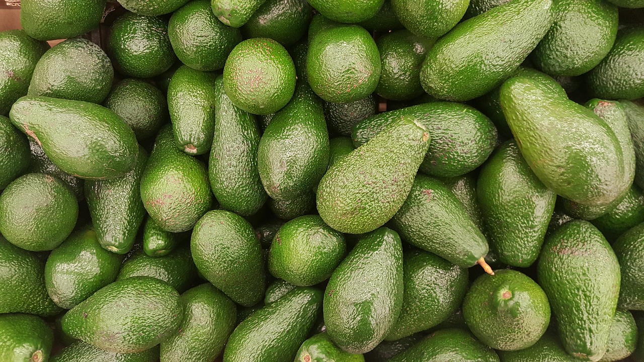 avocado-2351191_1280.jpg