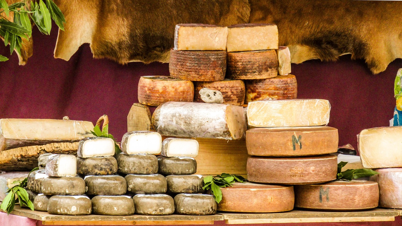 cheeses-3373604_1280.jpg