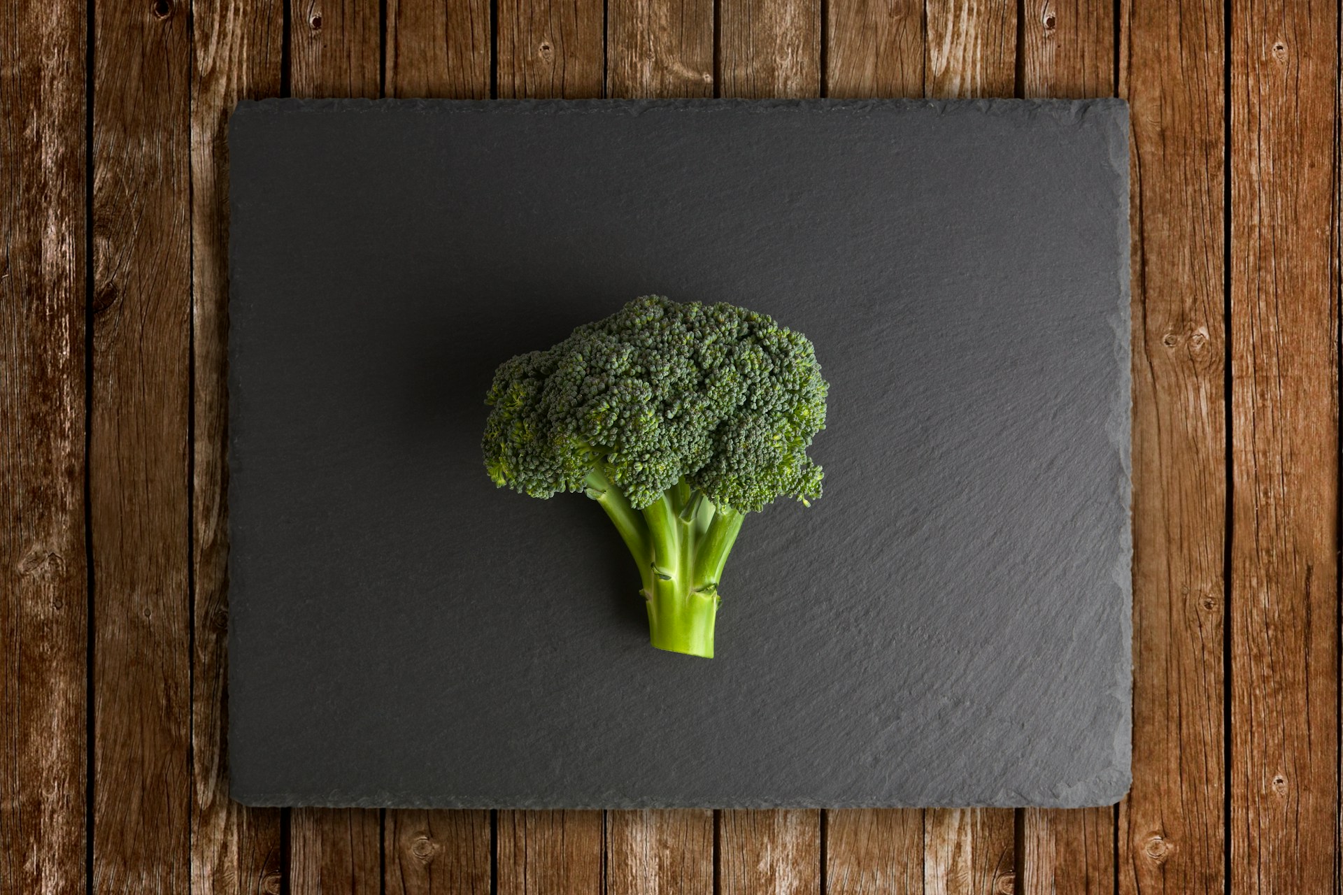 Onder-Ortel-Vjcvft3R-Wo-Unsplash