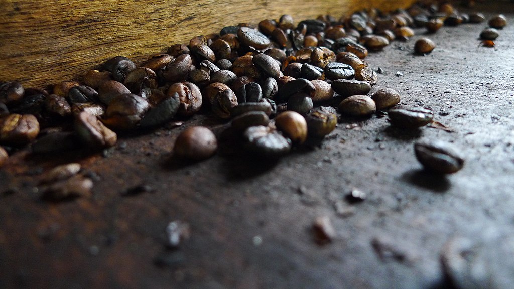 1024Px-Luwak Coffee Beans