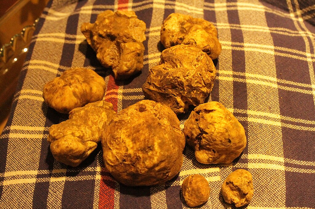 1024Px-White Truffles From San Miniato