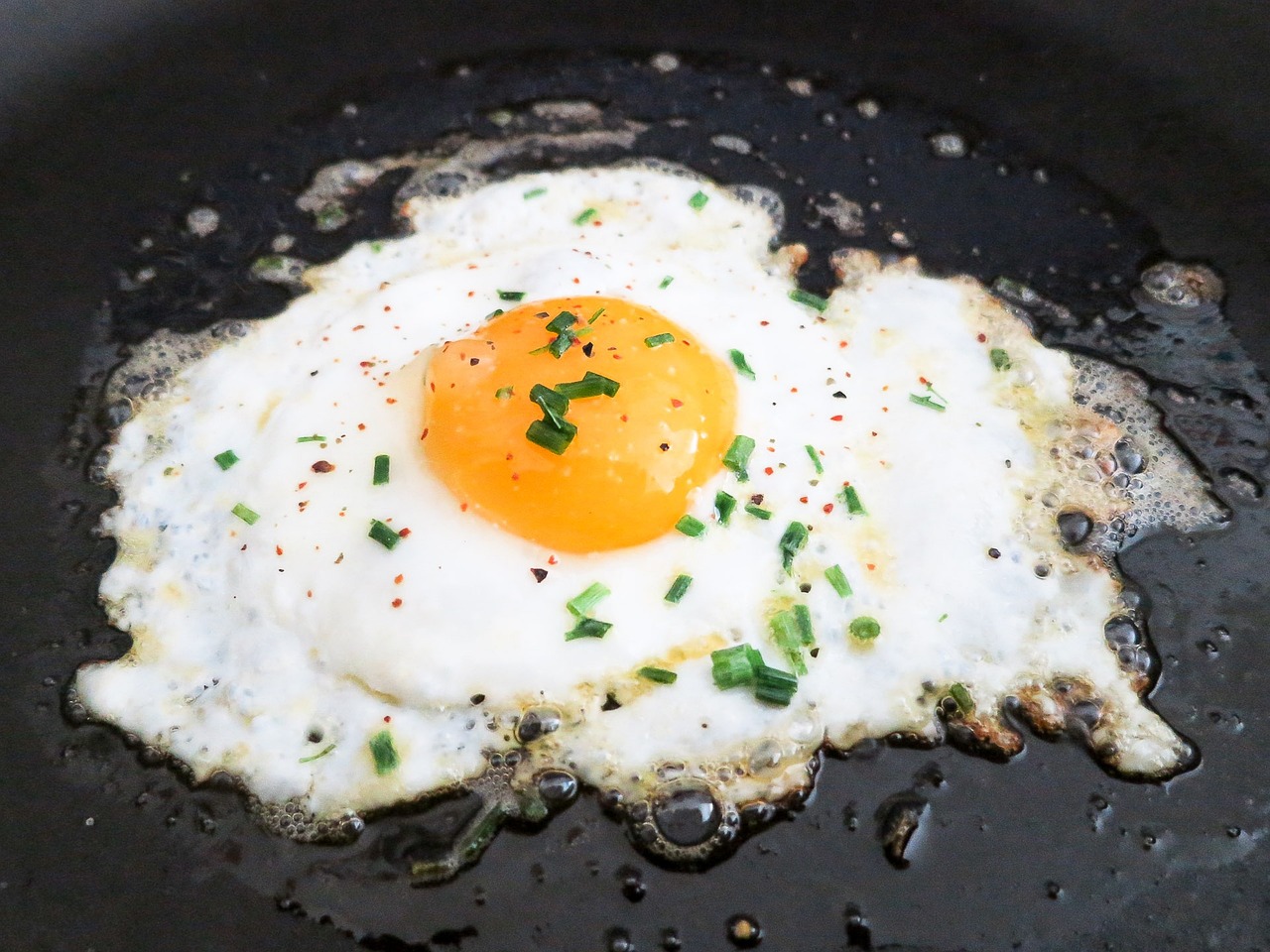 Fried-Egg-703904 1280