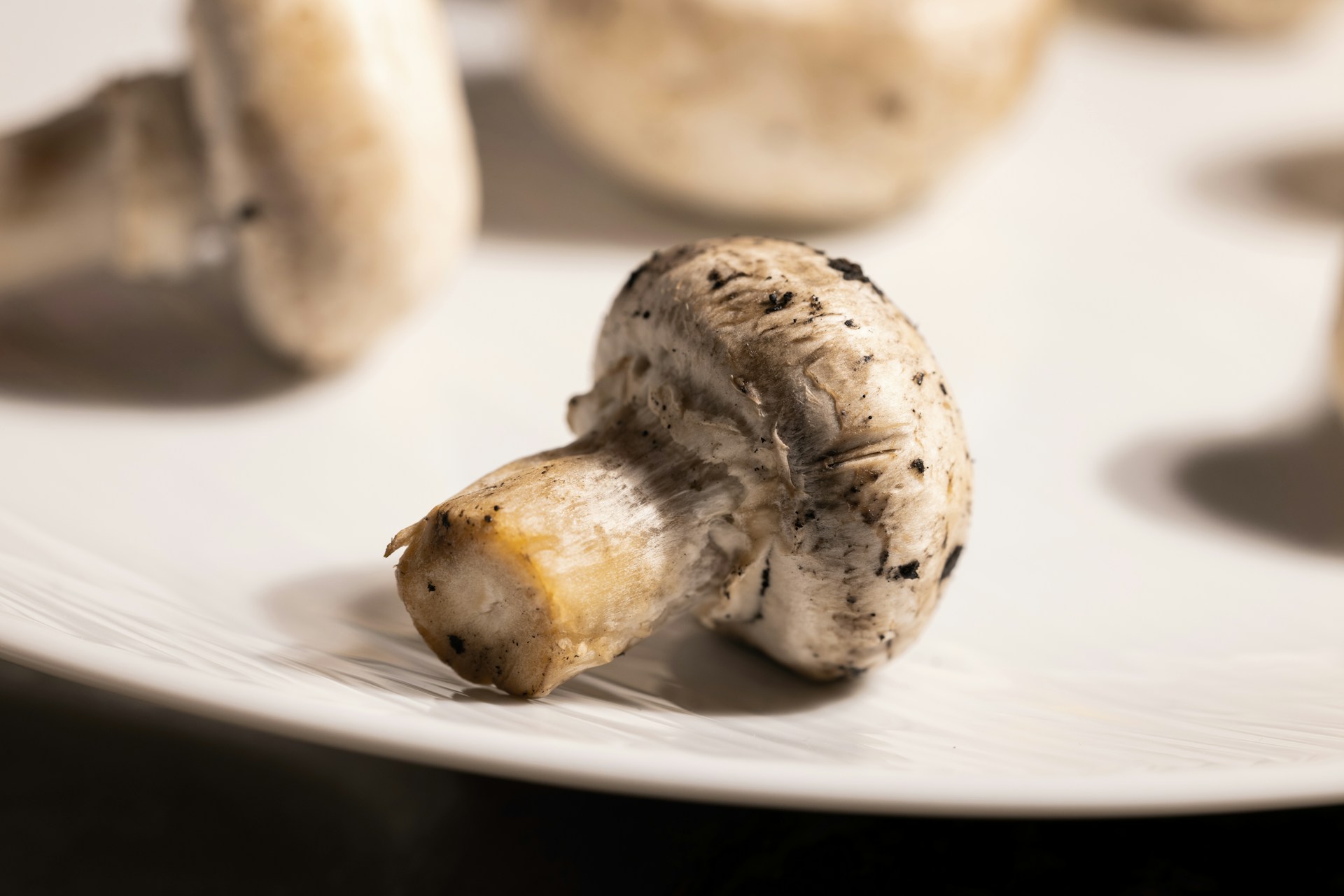 Engin-Akyurt-Flscmkkcu50-Unsplash