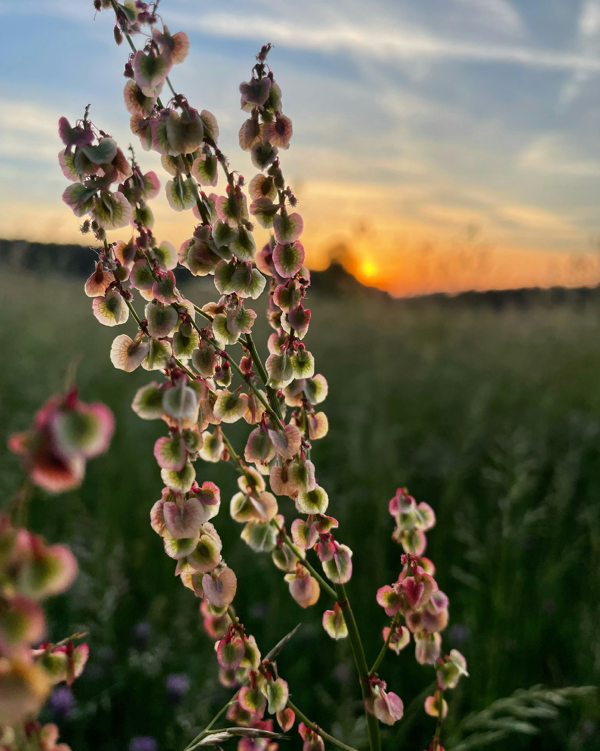 Larissa-Dietel-Pobv Mnutsu-Unsplash