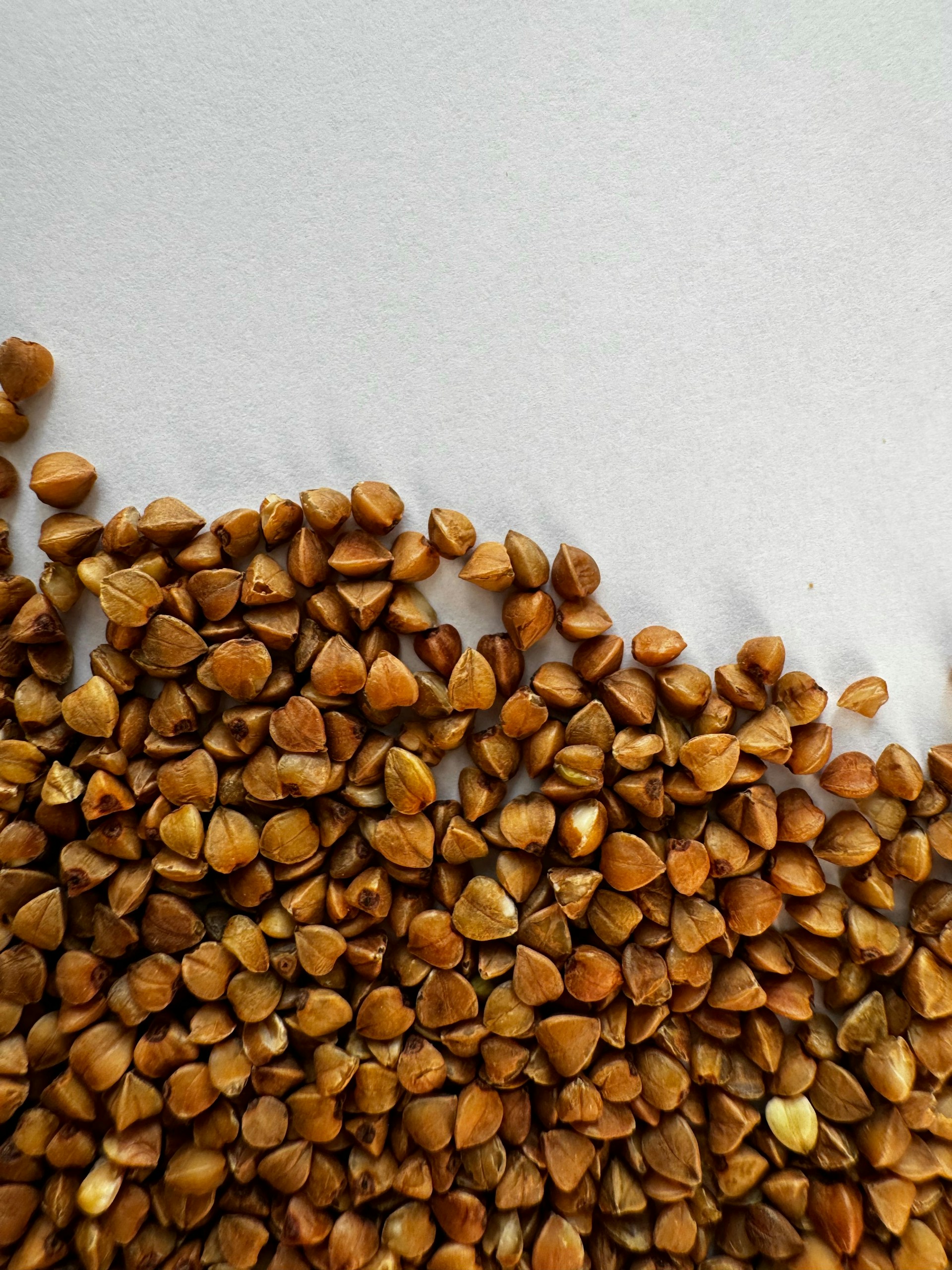 Sonia-Ttzcuhceelw-Unsplash