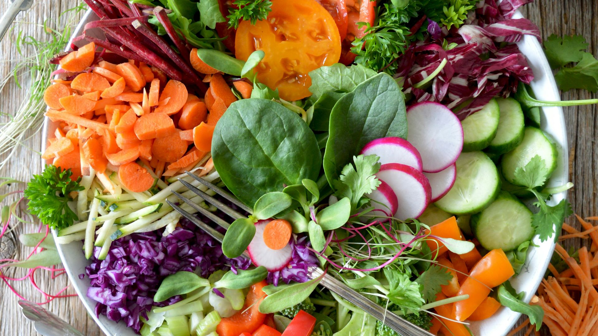 close-up photo of vegetable salad