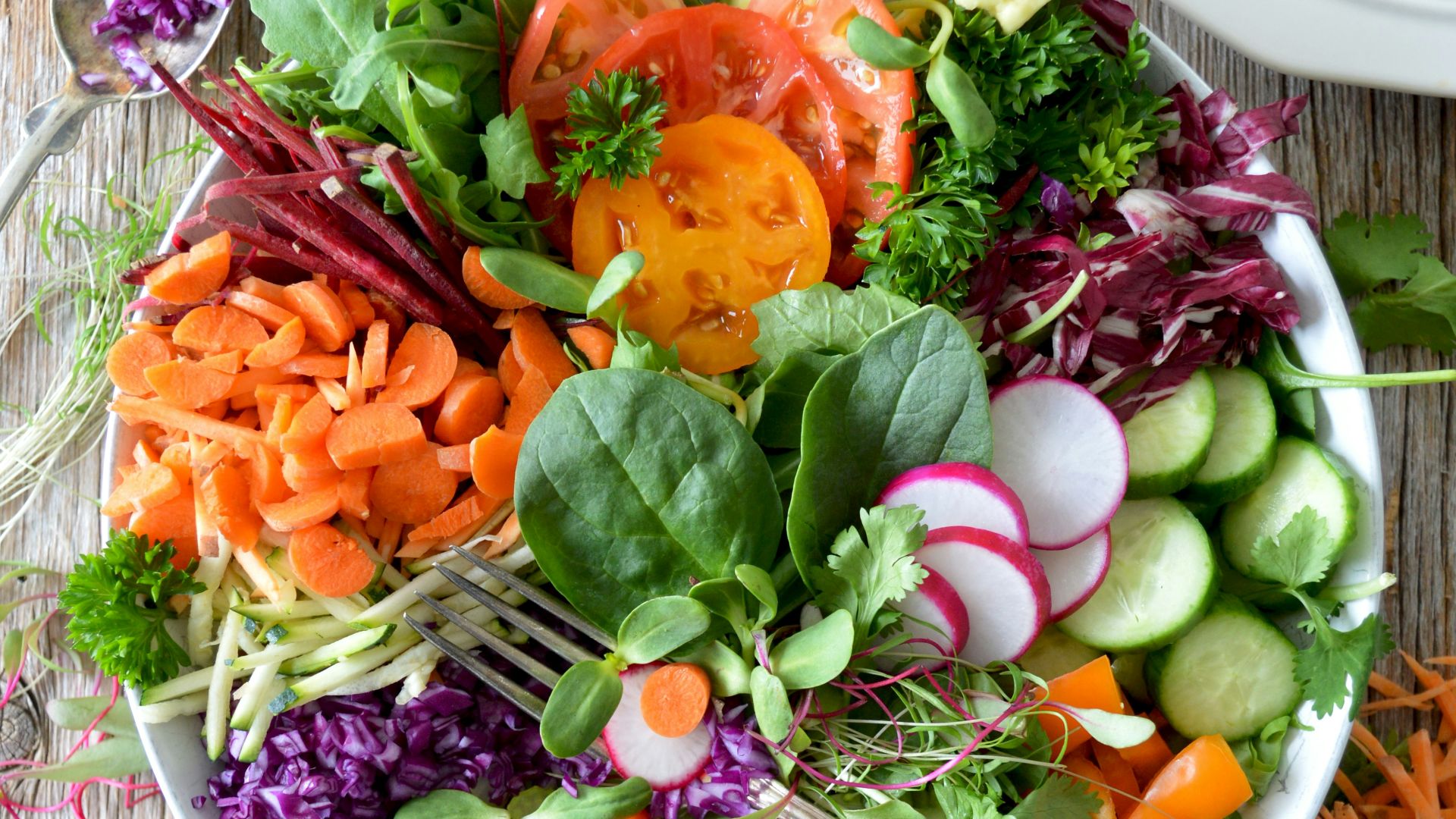 close-up photo of vegetable salad