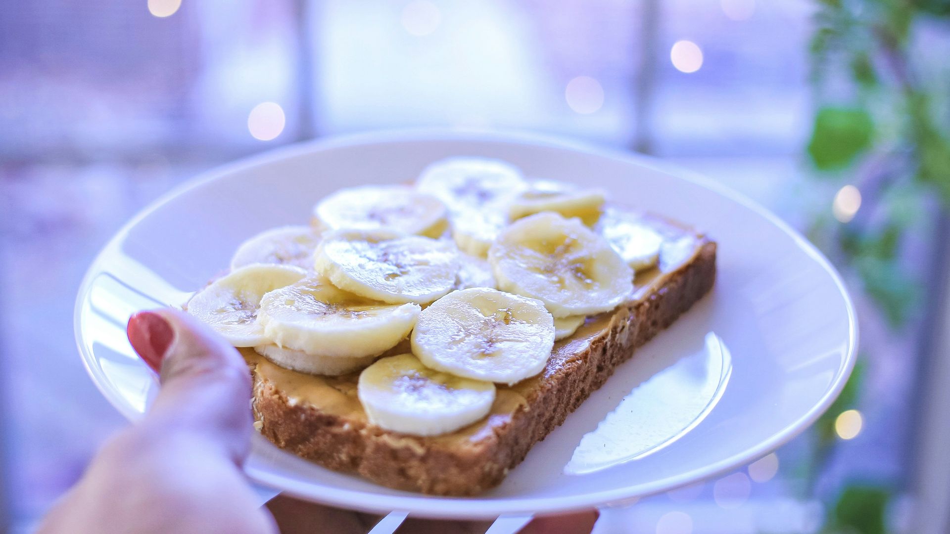 person holding brown bread on white ceramic plate