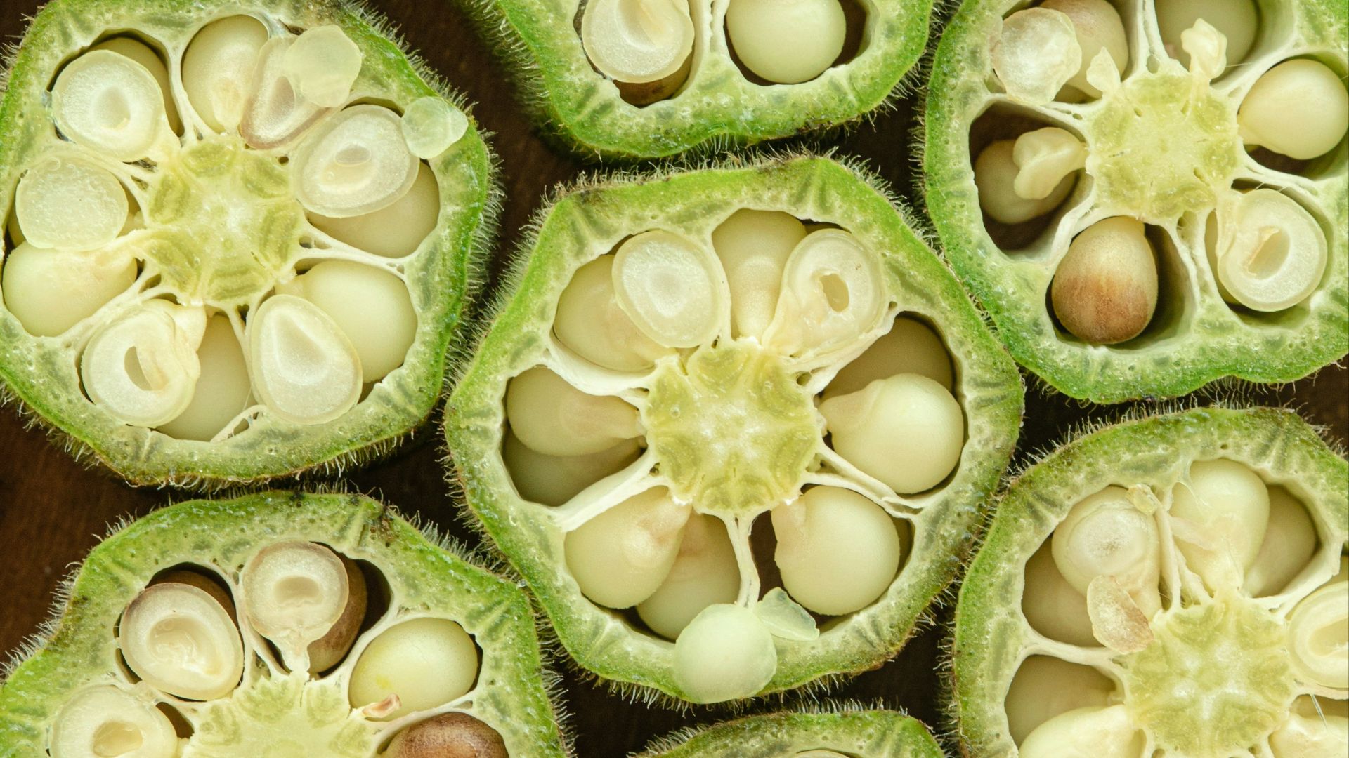 close-up photography of sliced okra