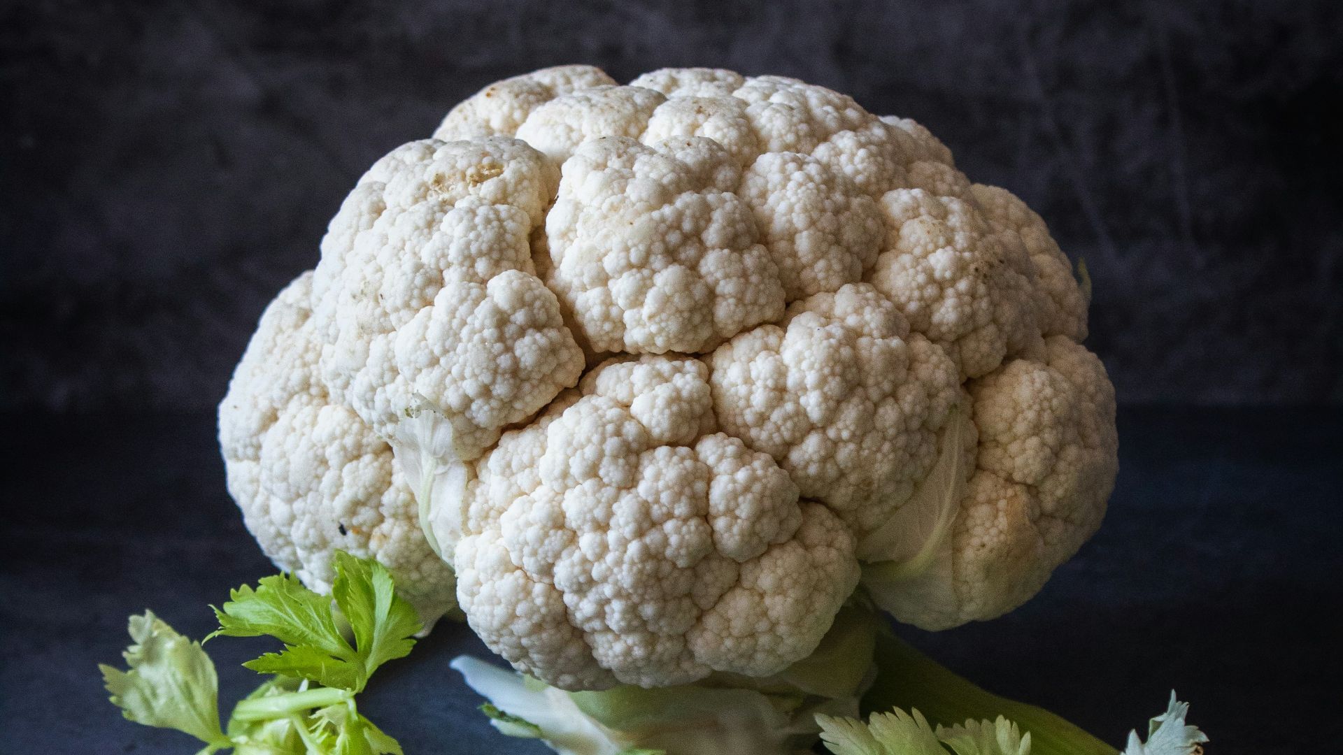 white flowers on black textile