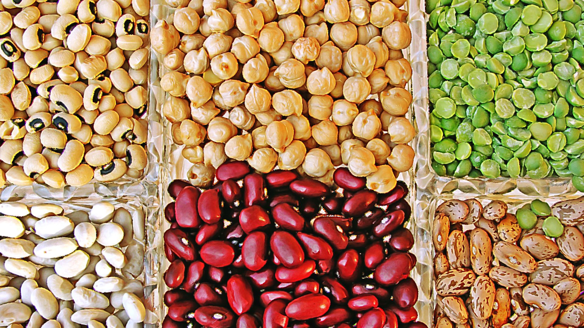 File:Legumes-665788.jpg