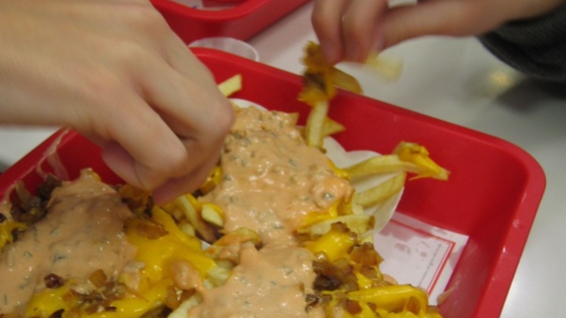 File:Flickr fweez 87669815--Animal style fries.jpg