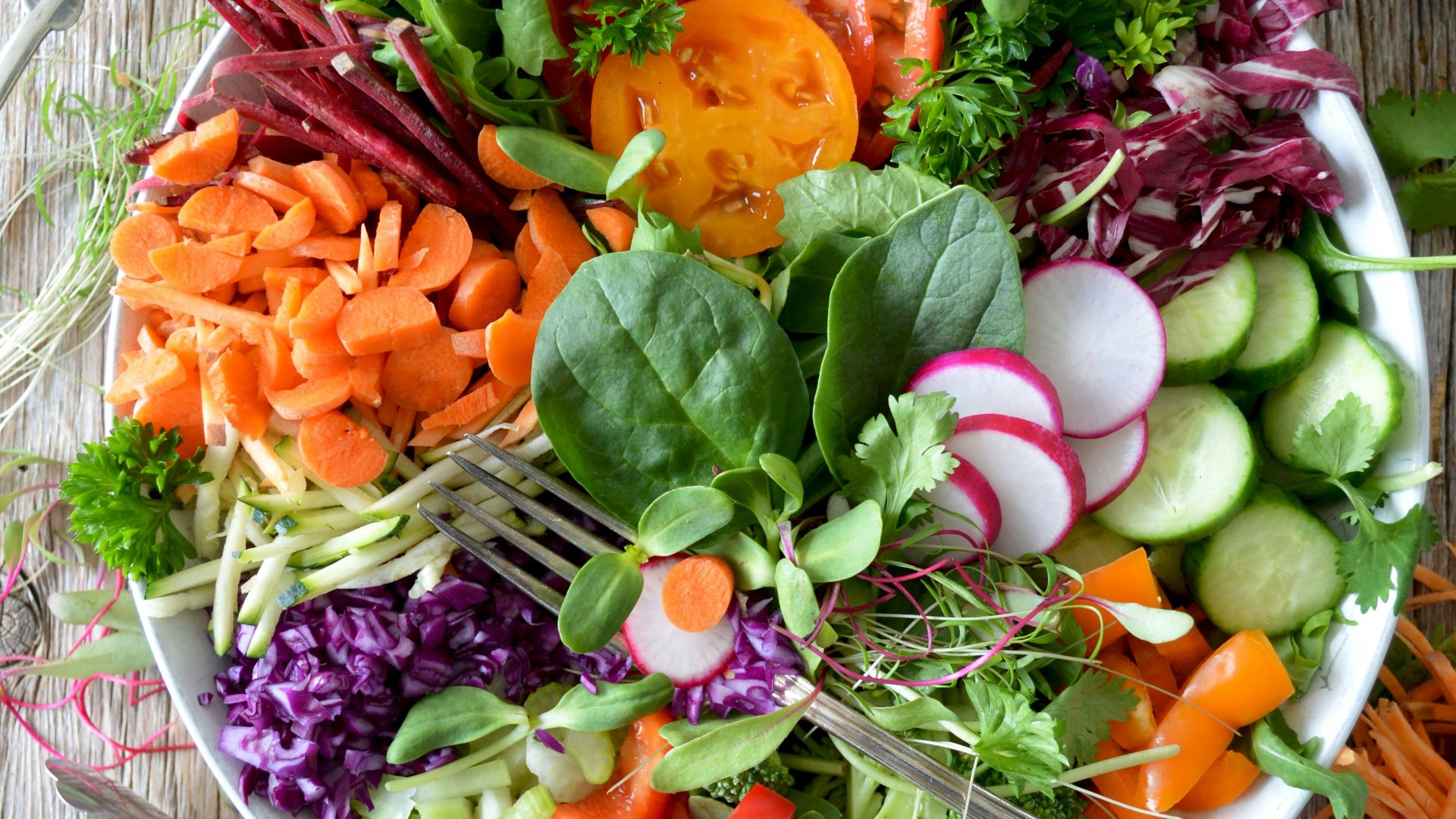 close-up photo of vegetable salad