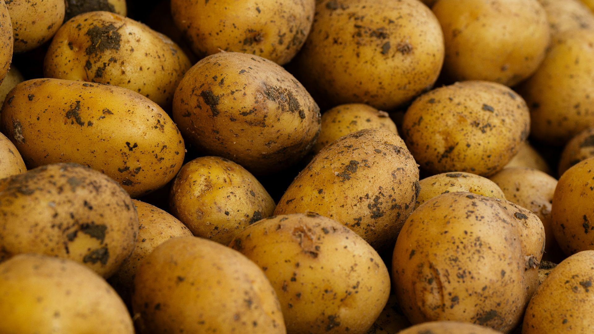 a pile of potatoes with dirt on them