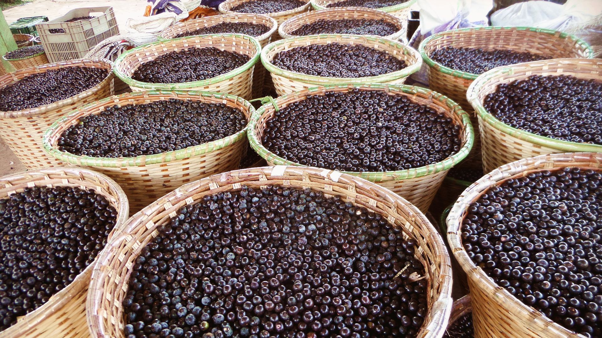 File:Paneiros com açaí no porto de Igarapé-Miri.jpg