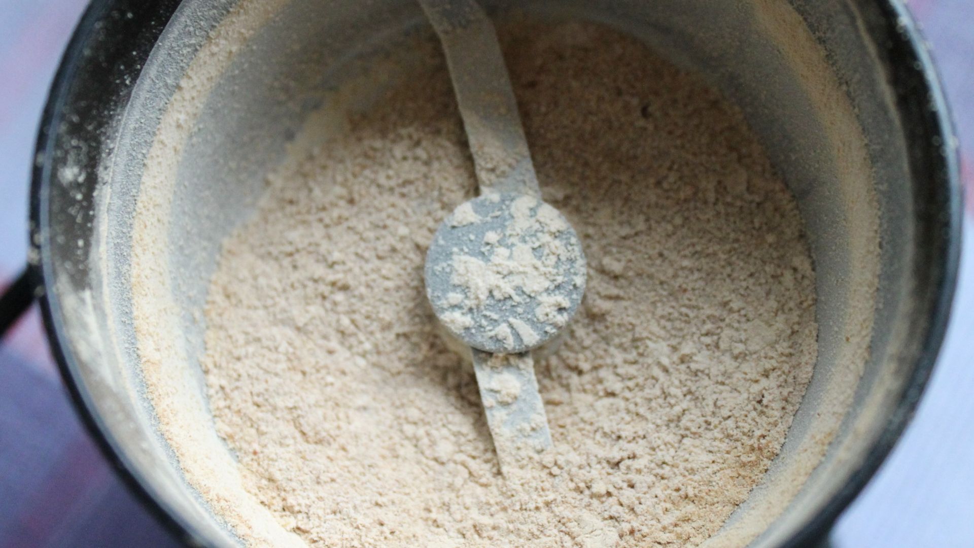 File:Mushroom powder, Boletus edulis, dried and freshly ground.jpg