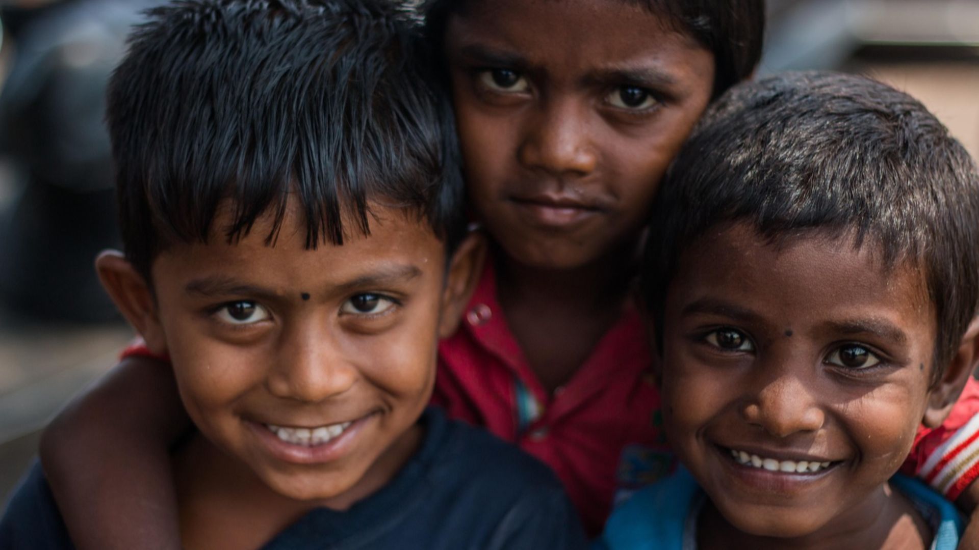 tortugamediaservices