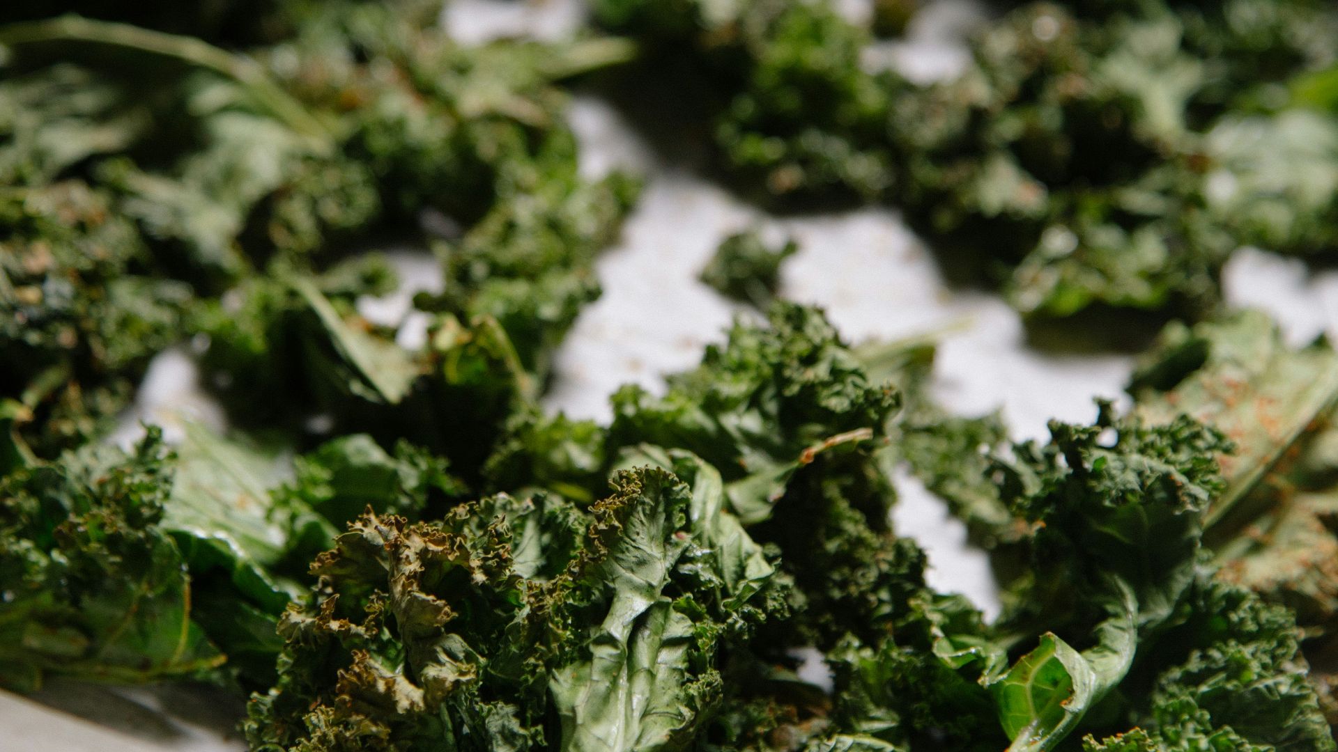 green vegetable plants