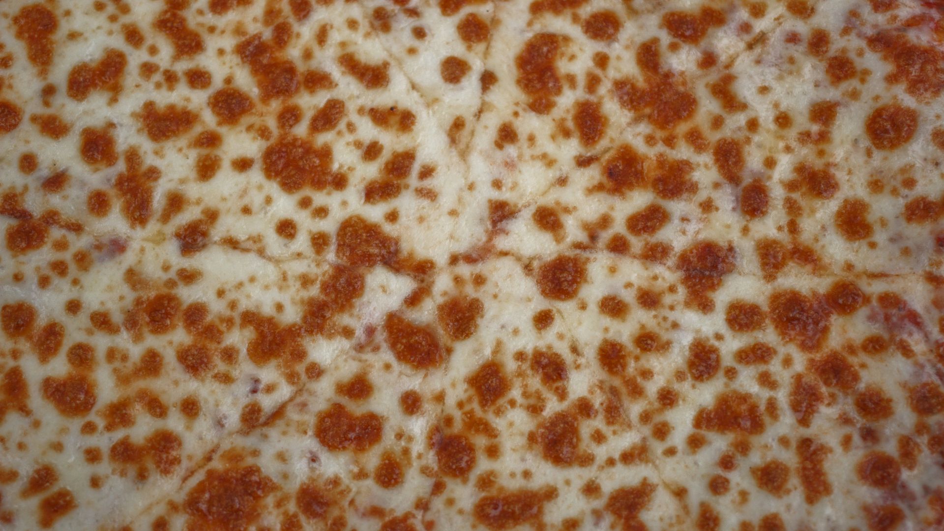 a close up of a pizza with lots of cheese