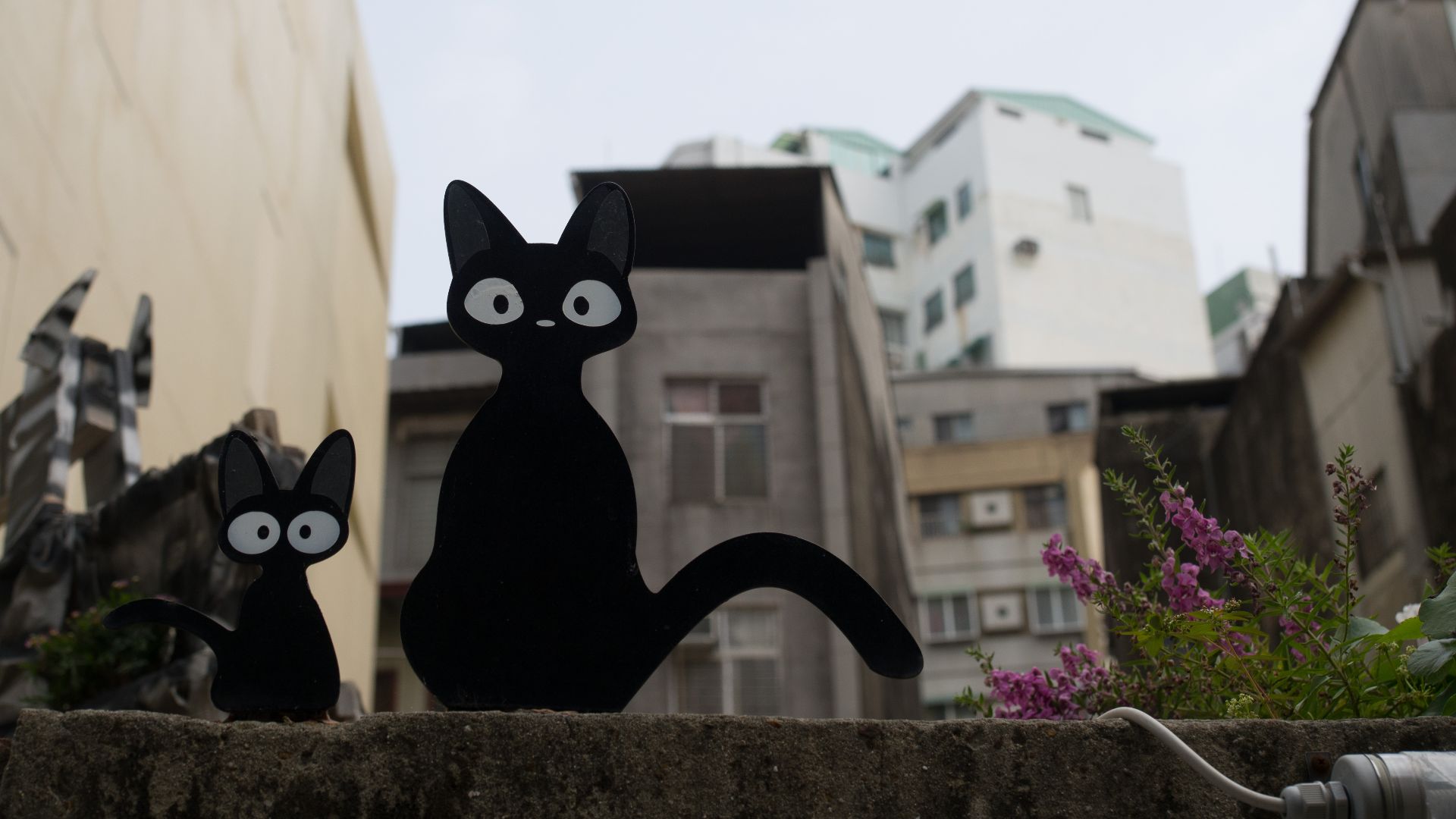 File:2015-05-01 black cat decoration over a wall on street in Tainan.jpg