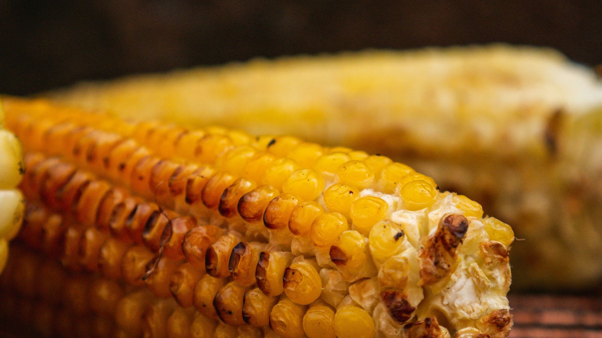 yellow corn on stainless steel tray
