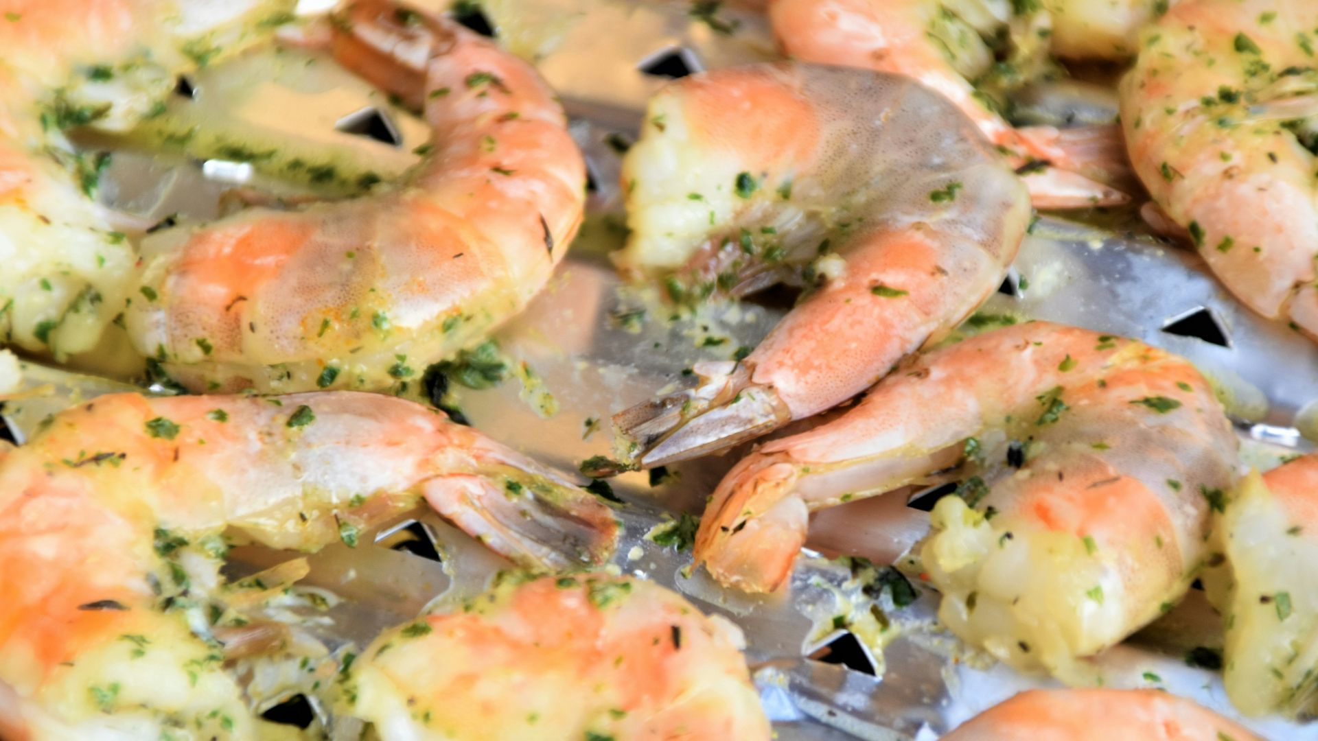 cooked shrimps on stainless steel tray