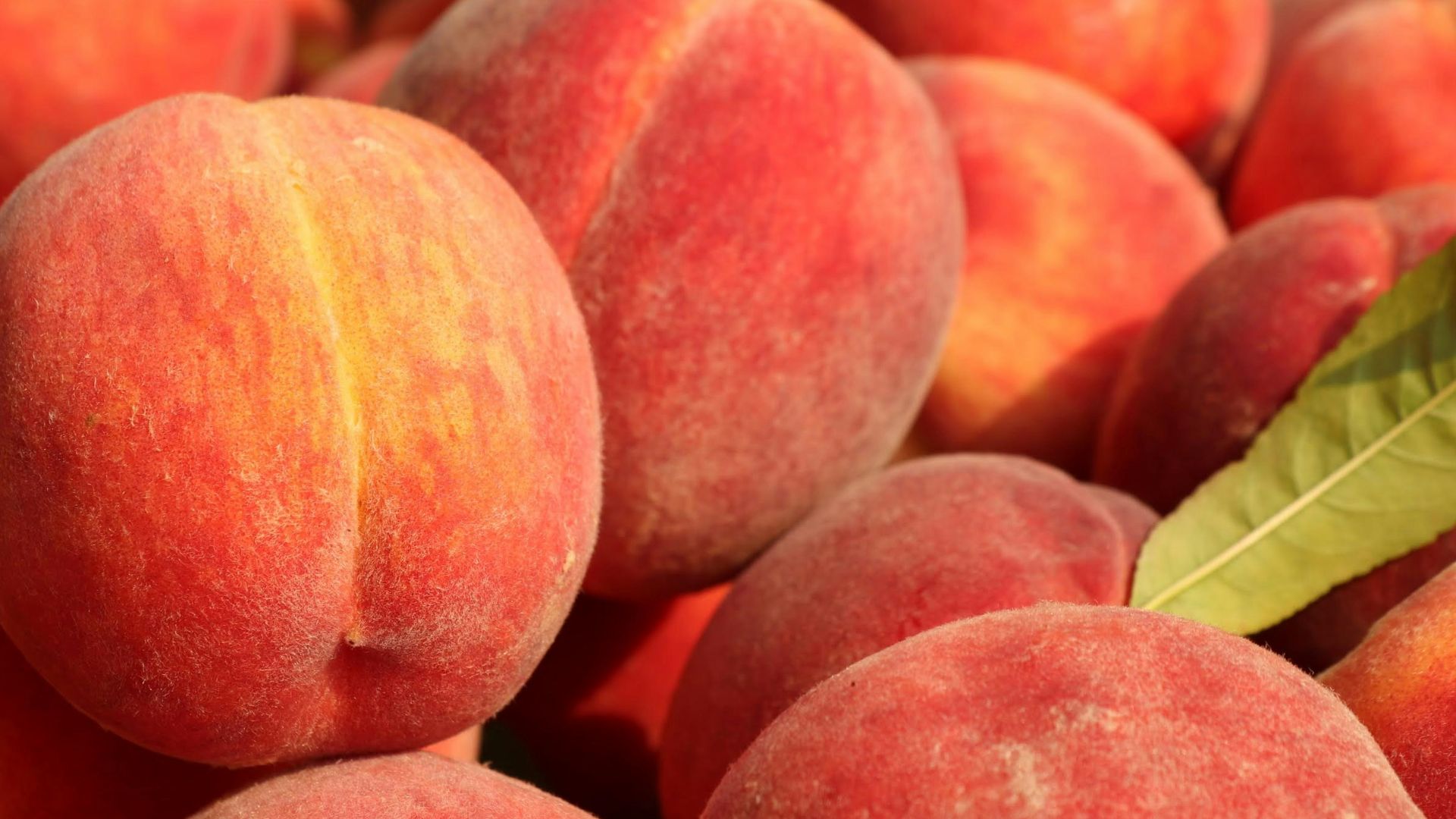 a pile of peaches with a leaf on top