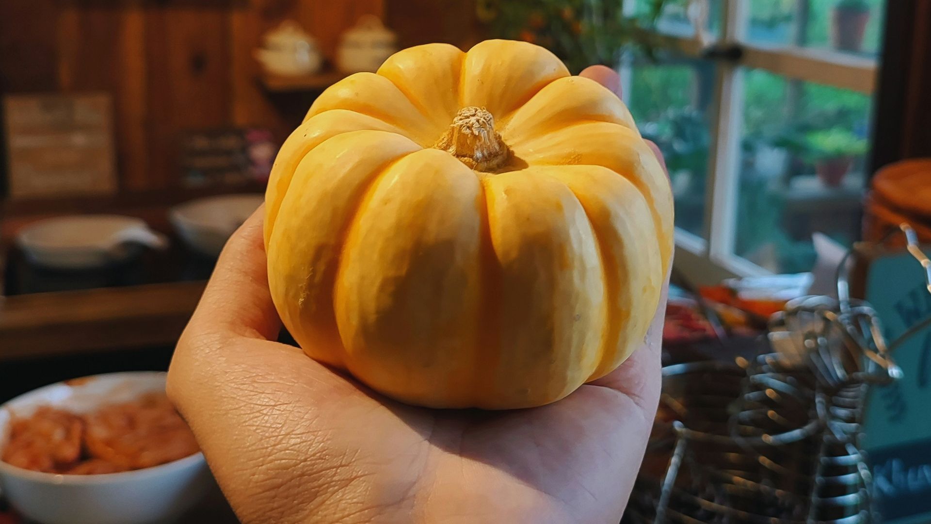 a person holding a pumpkin in their hand