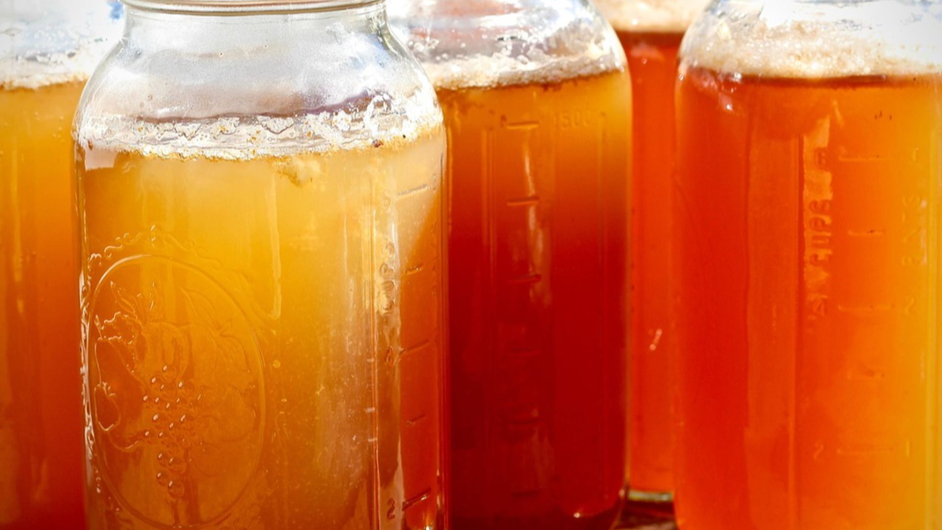 JennyandtheSummerDay