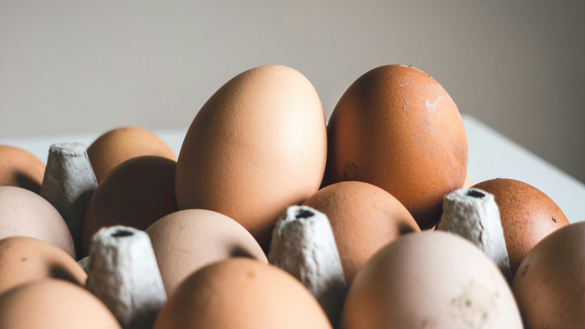 shallow focus photography of brown eggs
