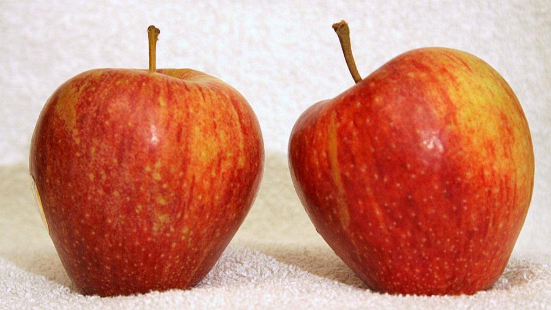 File:Cameo apple.jpg