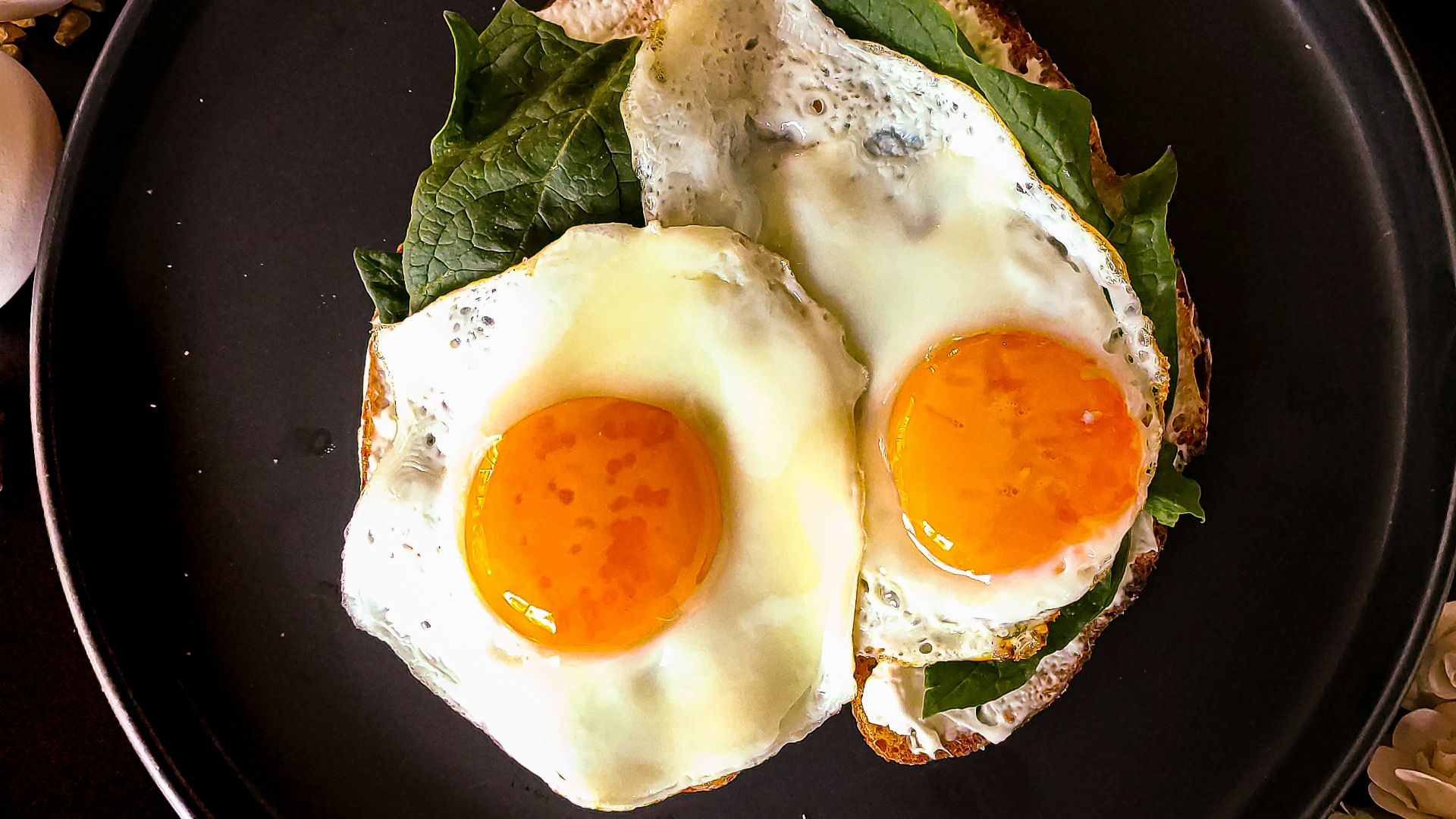 sunny side up egg on black ceramic plate