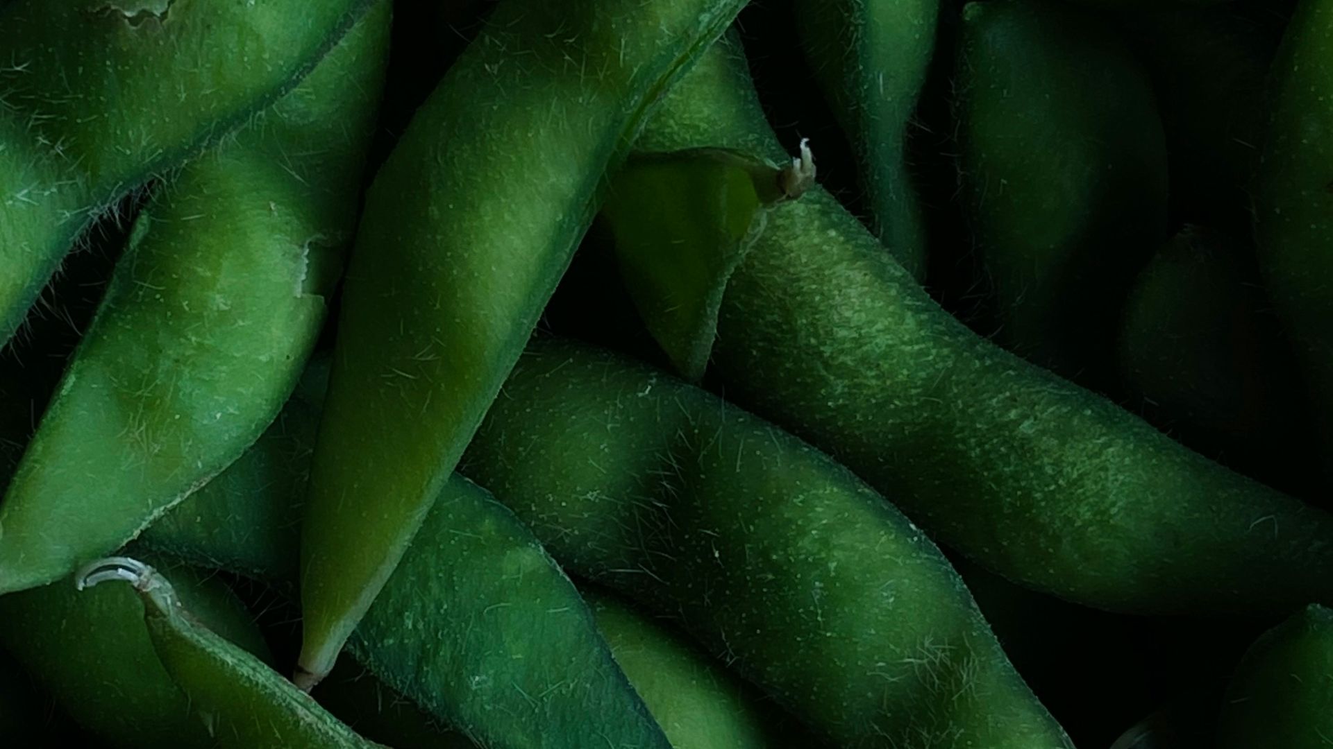 a pile of green beans sitting next to each other
