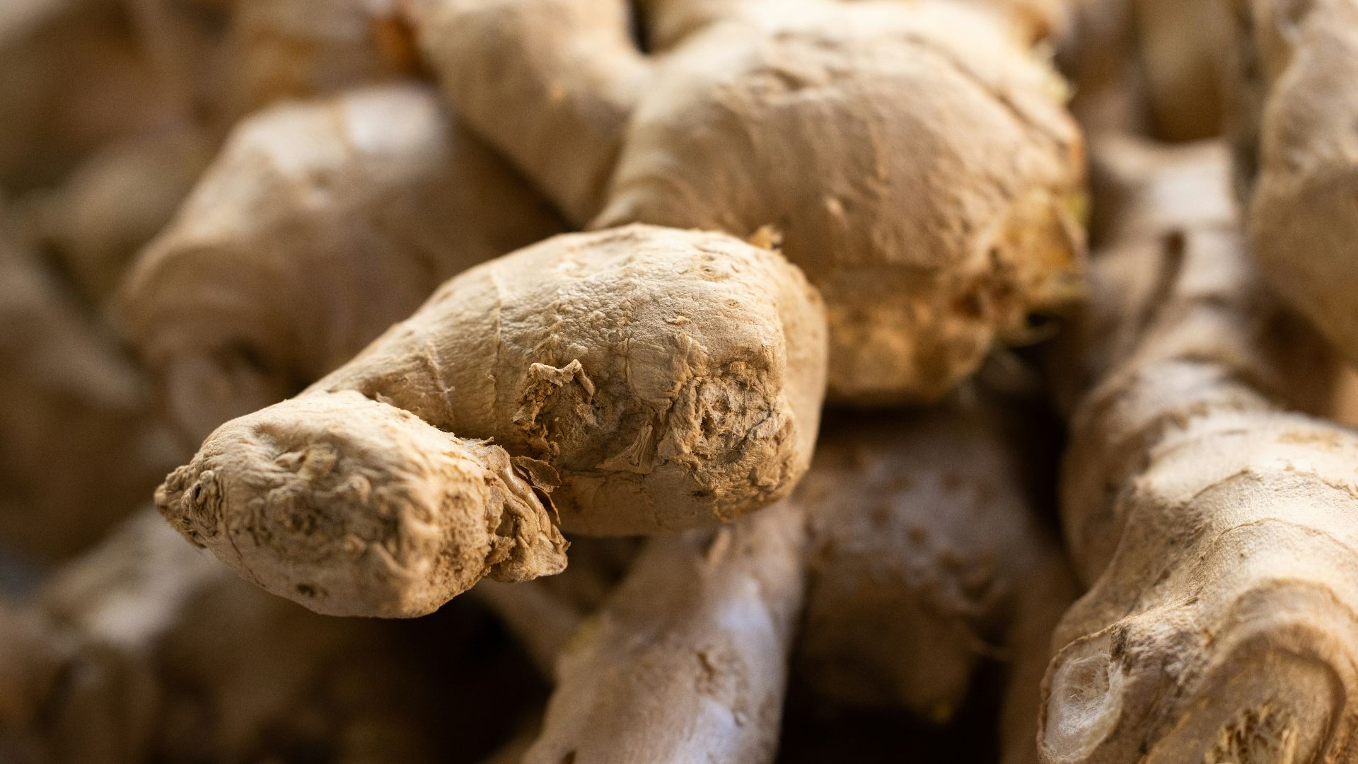 a close up of a bunch of ginger roots