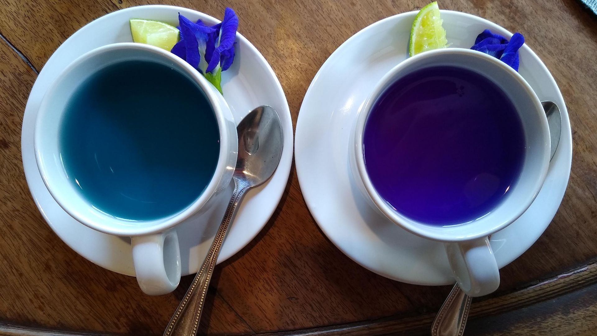 File:Butterfly-pea flower tea 3.jpg