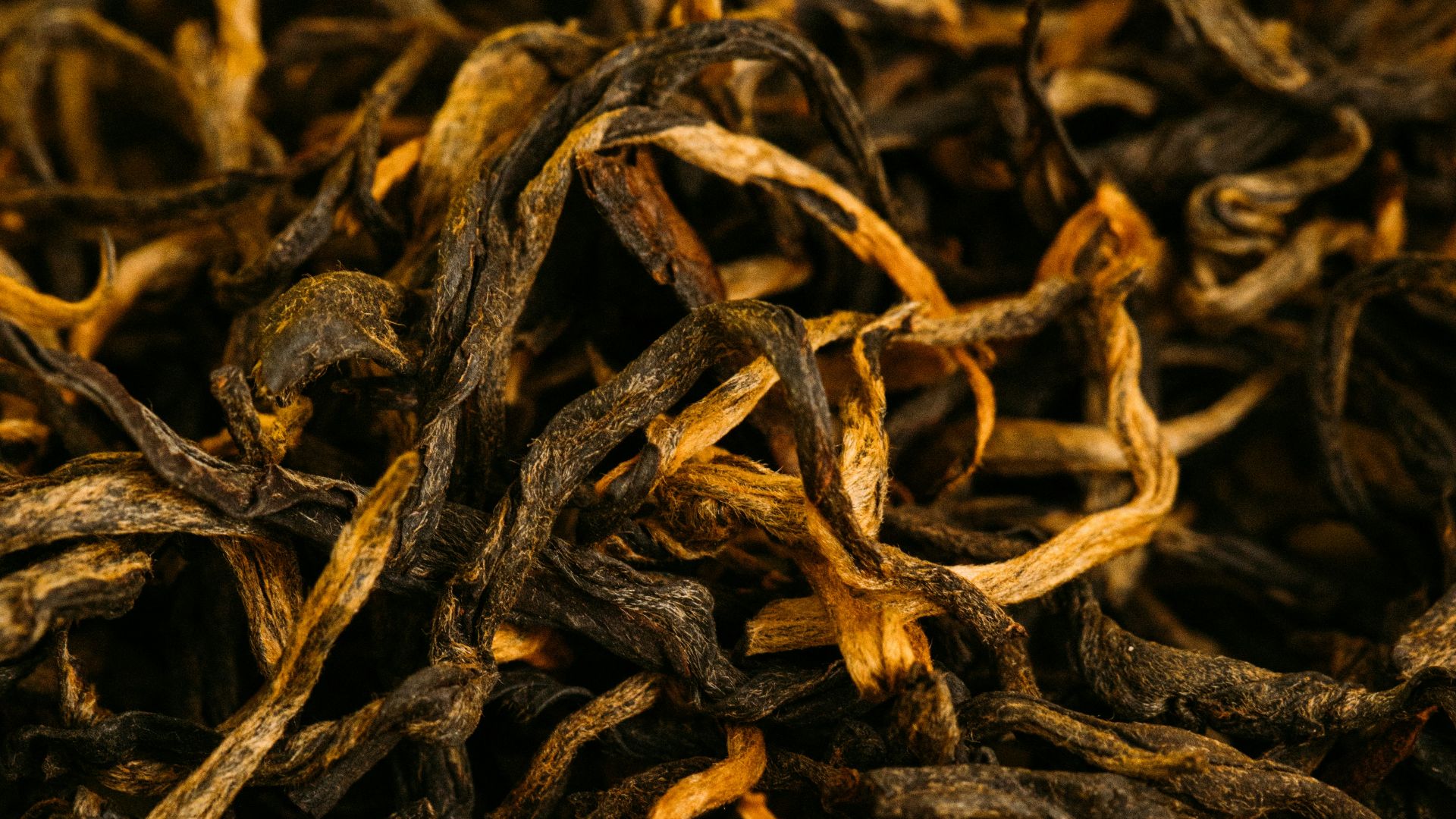 brown dried leaves on yellow surface