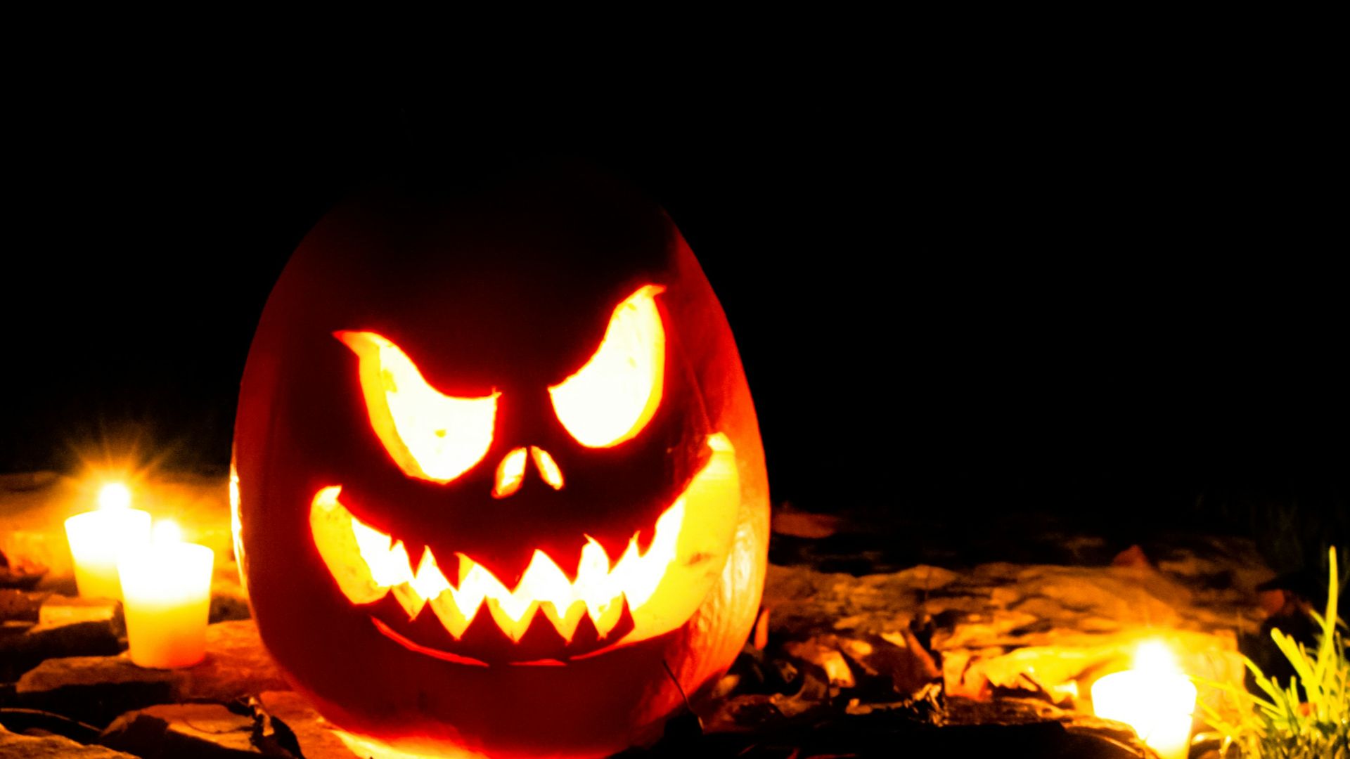 jack o lantern on brown dried leaves