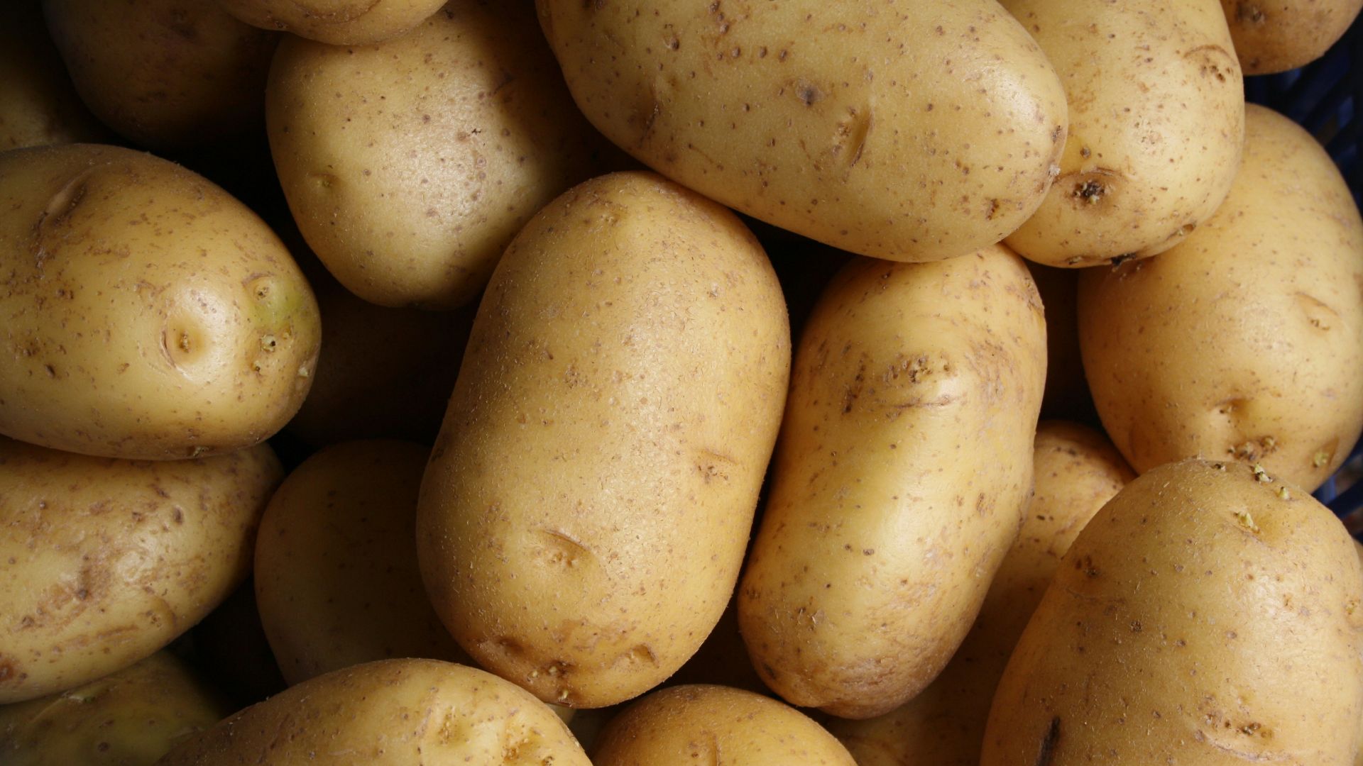 brown potato lot